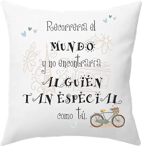 Worfull Regalos Cojín Personalizado TAMAÑO 40X40 cm Frase Motivadora Recorrería el Mundo en Bicicleta y no Encontraría Alguien Tan Especial. San Valentín  